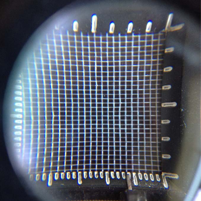 40目蔬菜大棚常用防蟲網(wǎng)